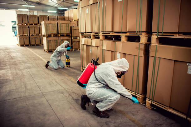Best Cockroach Control Services  in Seatac, WA
