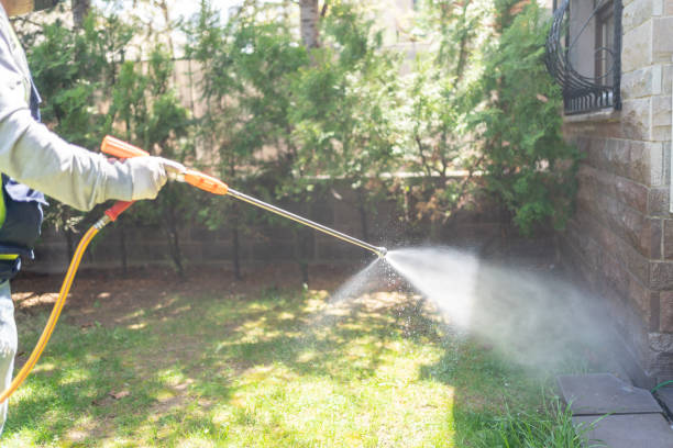 Best Wasp Removal Services  in Seatac, WA