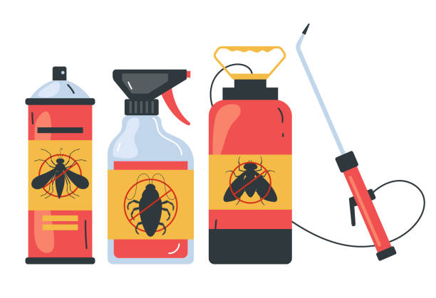 Best Local Pest Control Services  in Seatac, WA